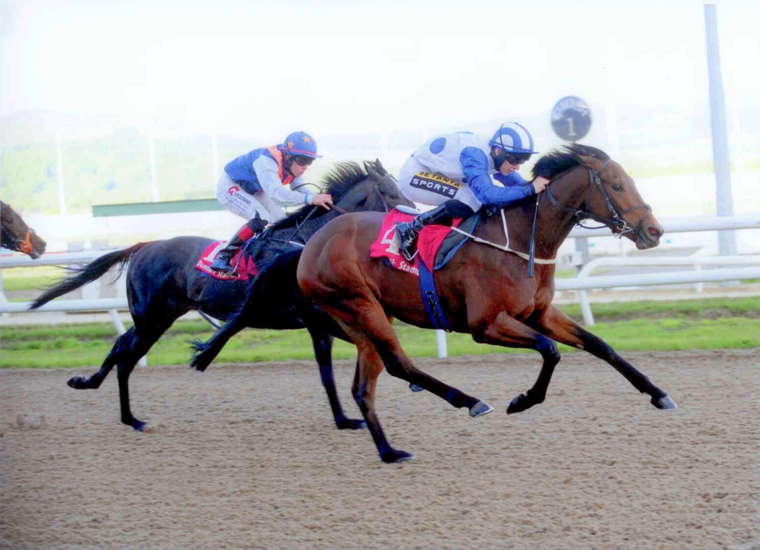 CAPE WOLFE provides Ger and Colin with a double at Dundalk on May 19th, 2015